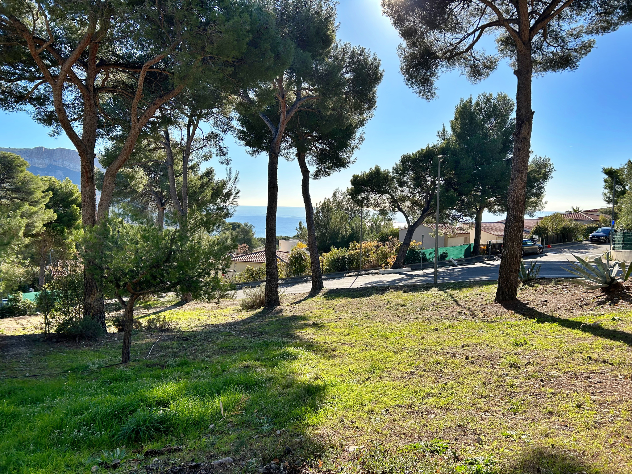 Agence immobilière de Deep immo 13